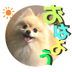 [LINEスタンプ] くにすえさんちのうどんくん