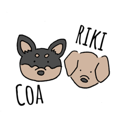 [LINEスタンプ] Riki＆Coaスタンプ