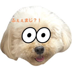 [LINEスタンプ] いぬのたいぐん