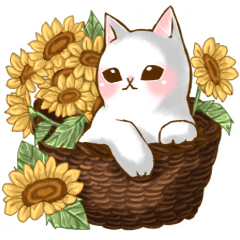 [LINEスタンプ] 夏から秋まで使える日常会話♡猫スタンプの画像（メイン）