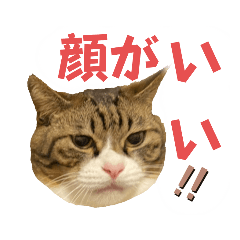 [LINEスタンプ] 顔がいいは正義