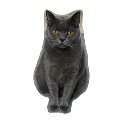 [LINEスタンプ] nanaの日常①