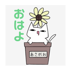 [LINEスタンプ] あちゅが描いた猫