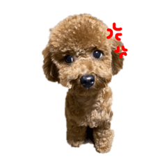 [LINEスタンプ] じじちゃんのまいにち1