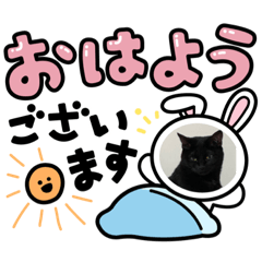 [LINEスタンプ] 愛猫すたんぷっ