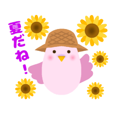 [LINEスタンプ] インコと夏