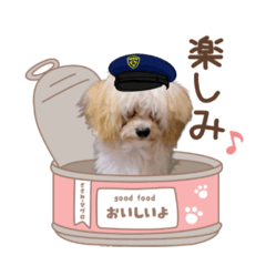 [LINEスタンプ] マロンたん スタンプ