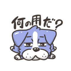 [LINEスタンプ] うちの坊ちゃん犬