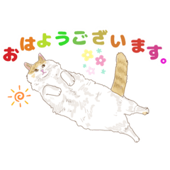 [LINEスタンプ] きなこのご挨拶1