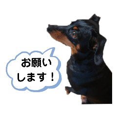 [LINEスタンプ] 愛しのペット❤⑧