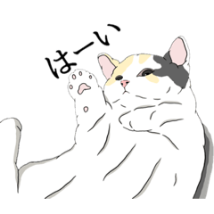 [LINEスタンプ] とある家のしろちゃん