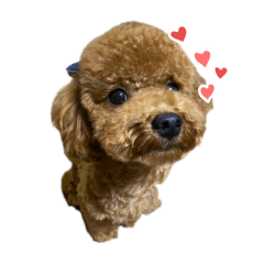 [LINEスタンプ] じじちゃんのまいにち^ ^