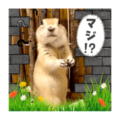 [LINEスタンプ] リチャードソンジリスのもっちゃん①