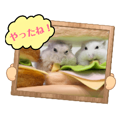 [LINEスタンプ] はむサンド兄弟【ハムスター】修正版