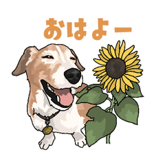 [LINEスタンプ] ジャックラッセルテリア1