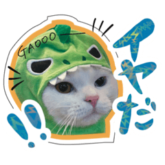 [LINEスタンプ] 短足オッドアイのOMOCHIだよ♪