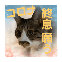 [LINEスタンプ] コロナ終息