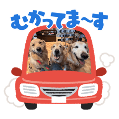 [LINEスタンプ] ゴールデン金＆桃＆福の1日