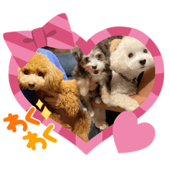 [LINEスタンプ] ロイスープ