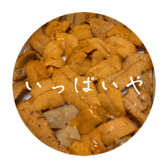 [LINEスタンプ] しーすー❷-❷