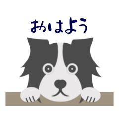 [LINEスタンプ] 「ボダコのレオ」日常生活