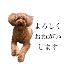 [LINEスタンプ] うちのつむぎさん2