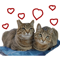 [LINEスタンプ] ふぁみれみ