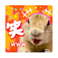 [LINEスタンプ] リチャードソンジリスのもっちゃん②