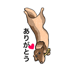 [LINEスタンプ] ダックス大好き！