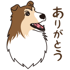 [LINEスタンプ] シェルティ ロビン