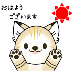 [LINEスタンプ] ぽっちゃりなスナネコスタンプ