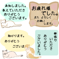 [LINEスタンプ] 猫ちゃんボード ～定番敬語文～