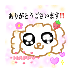 [LINEスタンプ] きゅるるんトイプードルの使える日常会話