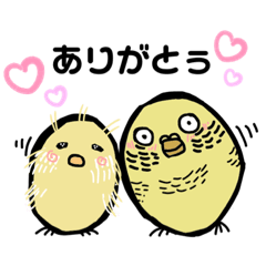 [LINEスタンプ] インコのピィイちゃんとカムイ 普段用