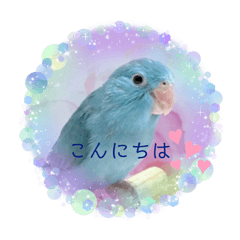 [LINEスタンプ] リルᒼᑋªⁿ✿