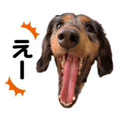 [LINEスタンプ] 3犬仲良しスタンプ①