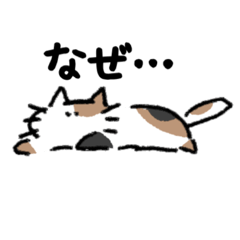 [LINEスタンプ] 弱猫スタンプ その2