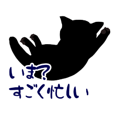 [LINEスタンプ] 黒猫のコテツ やたらと忙しい