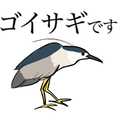 [LINEスタンプ] ゴイサギ