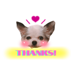 [LINEスタンプ] QOOちゃん♡
