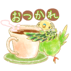 [LINEスタンプ] 毎日使える＊まったりインコ