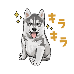 [LINEスタンプ] わんちゃん大集合2