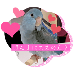 [LINEスタンプ] リルちゃん5