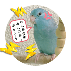 [LINEスタンプ] リルちゃん4