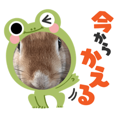 [LINEスタンプ] ♡ラテのスタンプ♡