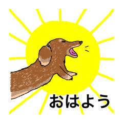 [LINEスタンプ] ダックス大好き！スタンプ