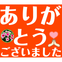 [LINEスタンプ] デカ文字日日草