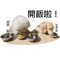 [LINEスタンプ] 子犬の親友