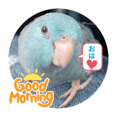 [LINEスタンプ] マメルリハのリル6