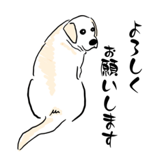 [LINEスタンプ] ラブラドールレトリバー・おうすけver.2